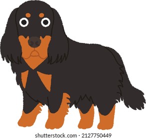 El Gordon Setter es una gran raza de perros, un miembro de la familia setter. alerta, interesado y seguro, valiente y dispuesto, inteligente y capaz.