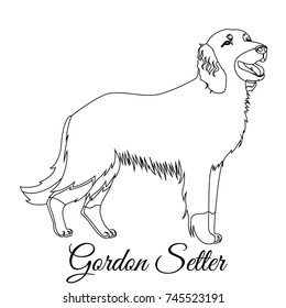 Gordon setter outline vector illustration