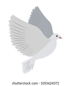 Gorgeous albino dove flies and spreads large wings isolated cartoon flat vector illustration on white background. Small bird that symbolizes love.
