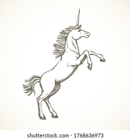 Gorgeous ancient fantastic pride mare pet stand hind up on paper space for text. Freehand outline black ink hand drawn cute steed beast heraldry emblem poster sketchy in retro art doodle engrave style