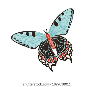 Gorgeous butterfly with pastel wings and antennae isolated on white background. Hand drawn colored beautiful flying moth. Colorful flat textured vector illustration