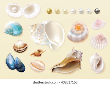 Gorgeous colorful collection of seashells and pearls in top view perspective isolated on light sandy beach colored background, summer theme vector illustrations