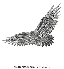 gorgeous eagle hunting