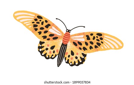 Gorgeous elegant butterfly with bright yellow wings and antennae isolated on white background. Colored beautiful flying moth. Hand drawn flat textured vector illustration