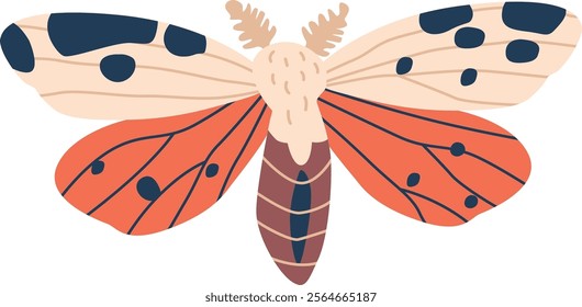 Gorgeous exotic butterfly vector illustration