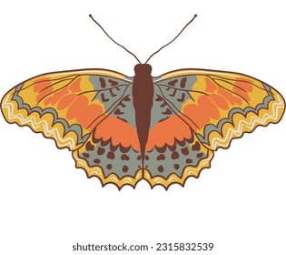 Gorgeous exotic spring insect. Butterfly print design. Tropical elegant butterfly with colorful wings. 