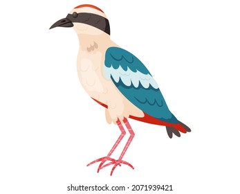 Gorgeous exotic tropical bird with bright colored plumage flat style logo icon. Vector colorful bird illustration of cute birdie. Avian species, wild life, fauna in forest. For nature, travel concept