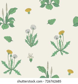 Gorgeous natural seamless pattern with flowering herbaceous plants. Beautiful wild flowers and blooming herbs - dandelion and plantain. Vector illustration for wrapping paper, wallpaper, backdrop.