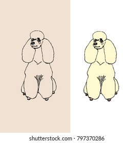 The gorgeous poodle. Vector illustration.