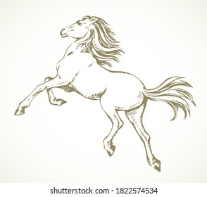 Gorgeous pride white courser smartly rear up on ranch race paddock. Freehand outline black ink pen hand drawn andalusian ride beast logo emblem pictogram design. Art doodle retro paper cartoon style