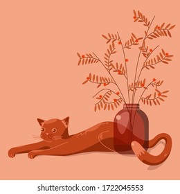 Eine prächtige rote Katze, die am Glas mit einem Haufen dekorativer Zweige liegt