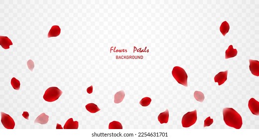 gorgeous red rose petals background virtual vector illustration