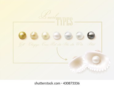 Gorgeous round, smooth, shiny clam pearl types. Beautiful pearl collection with two clam sea shells.