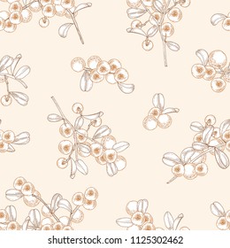 Gorgeous seamless pattern with arctic lingonberry hand drawn with contour lines on light background. Backdrop with boreal forest berry. Monochrome vector illustration in antique style for wallpaper.