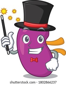 A gorgeous smart Magician of kidney cartoon design style