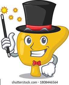 A gorgeous smart Magician liver in cartoon design style