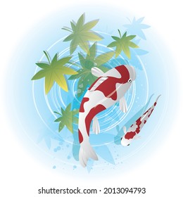 Gorgeous traditional illustration of oriental Japanese, Chinese, Asian fish, carp
