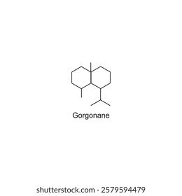 Gorgonane skeletal structure.Sesquiterpene compound schematic illustration. Simple diagram, chemical structure.