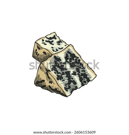 Gorgonzola cheese triangle parts vector sketch. Roquefort or blue cheese pieces with mold. Milk food production. Hand drawn healthy snack, recipe ingredient, menu decoration, delicatessen isolated