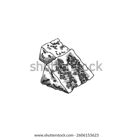 Gorgonzola cheese triangle parts vector engraved sketch. Roquefort or blue cheese pieces with mold. Milk food production. Hand drawn healthy snack, recipe ingredient, delicatessen isolated