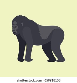 Gorila monkey rare animal vector cartoon macaque nature primate character wild zoo ape chimpanzee