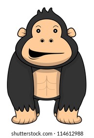gorilla