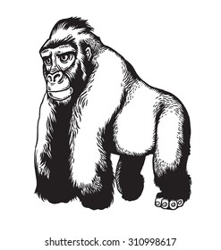 Gorilla Stock Vector (Royalty Free) 310998617 | Shutterstock