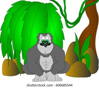 Gorilla