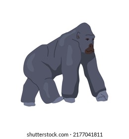 Gorilla African animals and wildlife, isolated primate species. Orangutan or big ape. Zoology and biodiversity of Africa. Flat cartoon, vector illustration