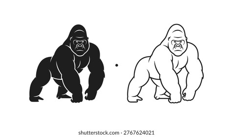 Gorilla Anatomy Comparison Knuckle-Walking vs Bipedal Posture Vector