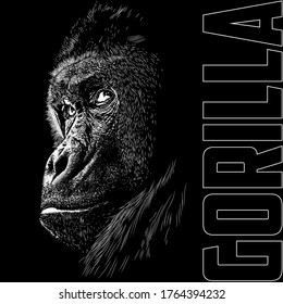 Gorilla animal illustration, nature conservation vector