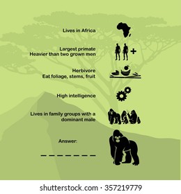 Gorilla animal infographics with basic information about the animal - suitable for children - vector illustration