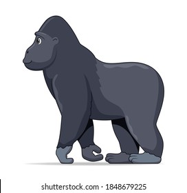 Gorilla animal standing on a white background. Cartoon style vector illustration