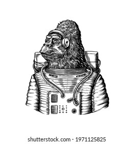  Gorilla astronaut character. Monkey spaceman cosmonaut. Fashionable animal, vitorian gentleman in a jacket. Hand drawn Engraved old monochrome sketch. Vector illustration for t-shirt, tattoo 