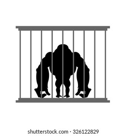 Gorilla In Cage. Animal In  Zoo Behind Bars. Big And Strong Monkey In Captivity. Dangerous Wild Beast In Imprisonment.
