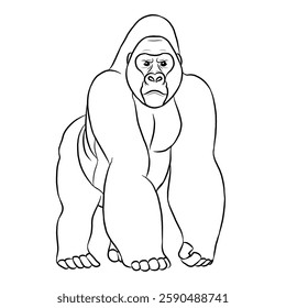 Gorilla cartoon, vector illustration, gorilla icon isolated on white background. Line art.