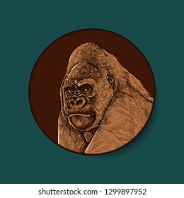 Gorilla, Colored Potrait Illustration Vector