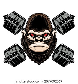 507 Monkey bodybuilder Images, Stock Photos & Vectors | Shutterstock