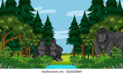 Gorilla family in forest or rainforest scene with many trees illustration