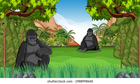 Gorilla in forest or rainforest scene with many trees illustration