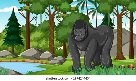 Gorilla in forest or rainforest scene with many trees illustration