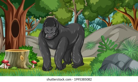 Gorila en la escena de bosque o selva tropical con muchas ilustraciones de árboles