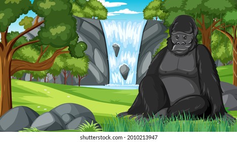 Gorilla in forest or rainforest scene with many trees illustration