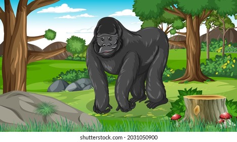 Gorilla in forest or rainforest scene with many trees illustration