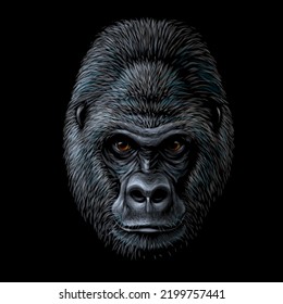 Gorilla. Grafisches, farbiges Portrait eines Gorillamonschlüssels auf schwarzem Hintergrund. Digitale Vektorgrafiken.