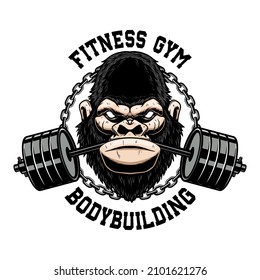 Gorilla with gym barbell in mouth. Design element for logo, emblem, sign, poster, t shirt. Vector illustration