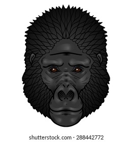 Gorilla head gradients. isolation on a white background