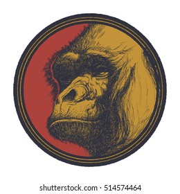 Gorilla Head Logo Mascot Emblem. Vector illustration.