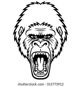 A Gorilla head logo. This is vector illustration ideal for a mascot and tattoo or T-shirt graphic.
