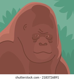 Gorilla head on the background of a wild rainforest. Primate face portrait. Wild african animal. Fauna and zoology. Vector cartoon illustration